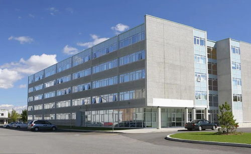 掛靠施工中，滿(mǎn)足特定條件即可直接向發(fā)包人主張工程款